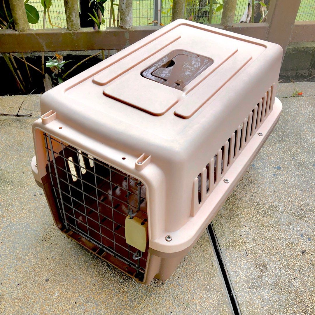 CAT COURIER CAGE, Pet Supplies, Homes & Other Pet Accessories on Carousell