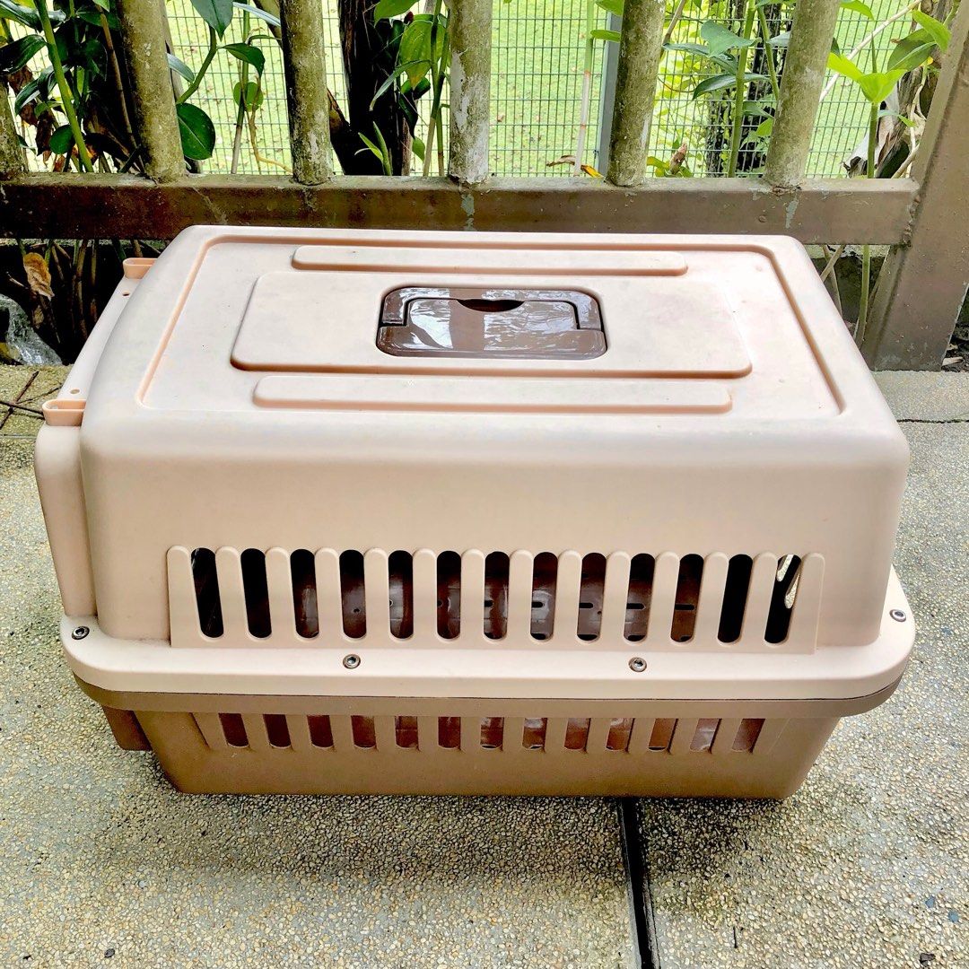 CAT COURIER CAGE, Pet Supplies, Homes & Other Pet Accessories on Carousell