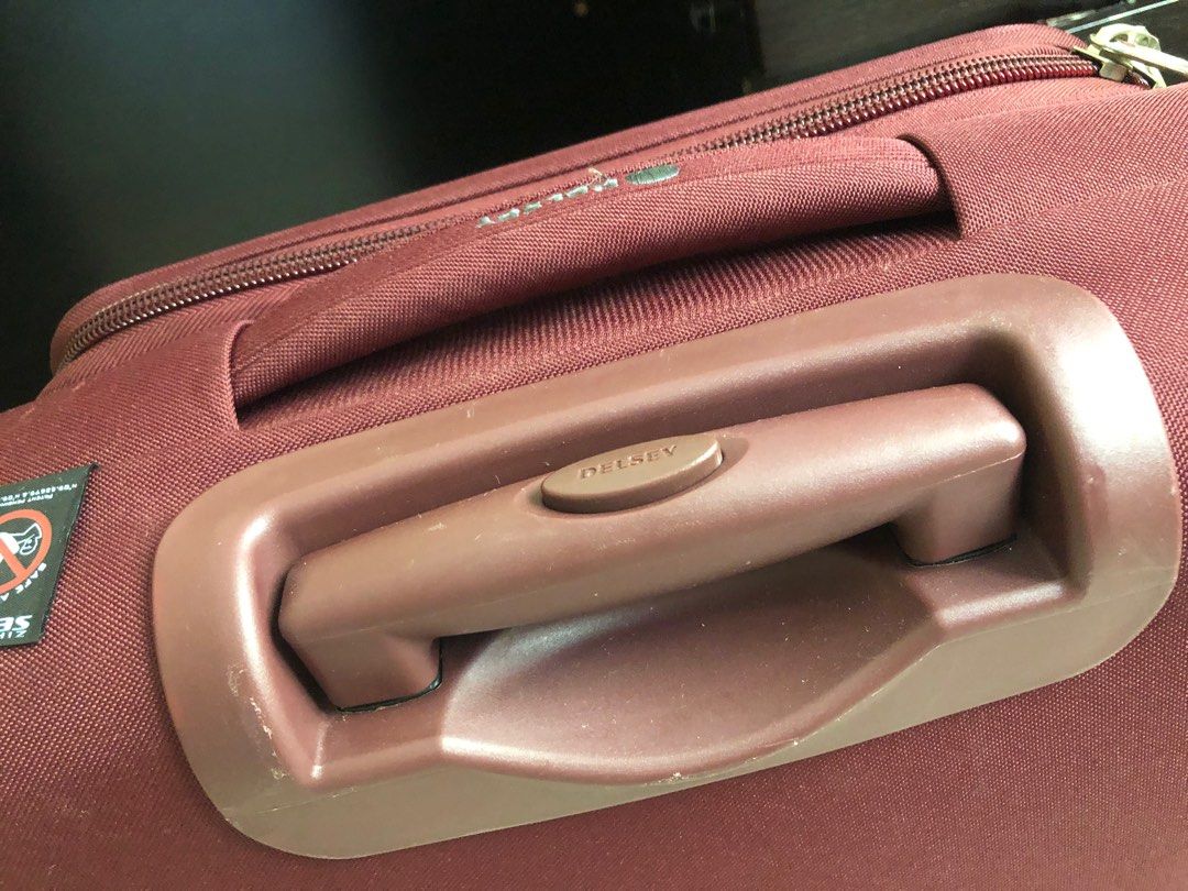 Delsey luggage, Hobbies & Toys, Travel, Luggage on Carousell