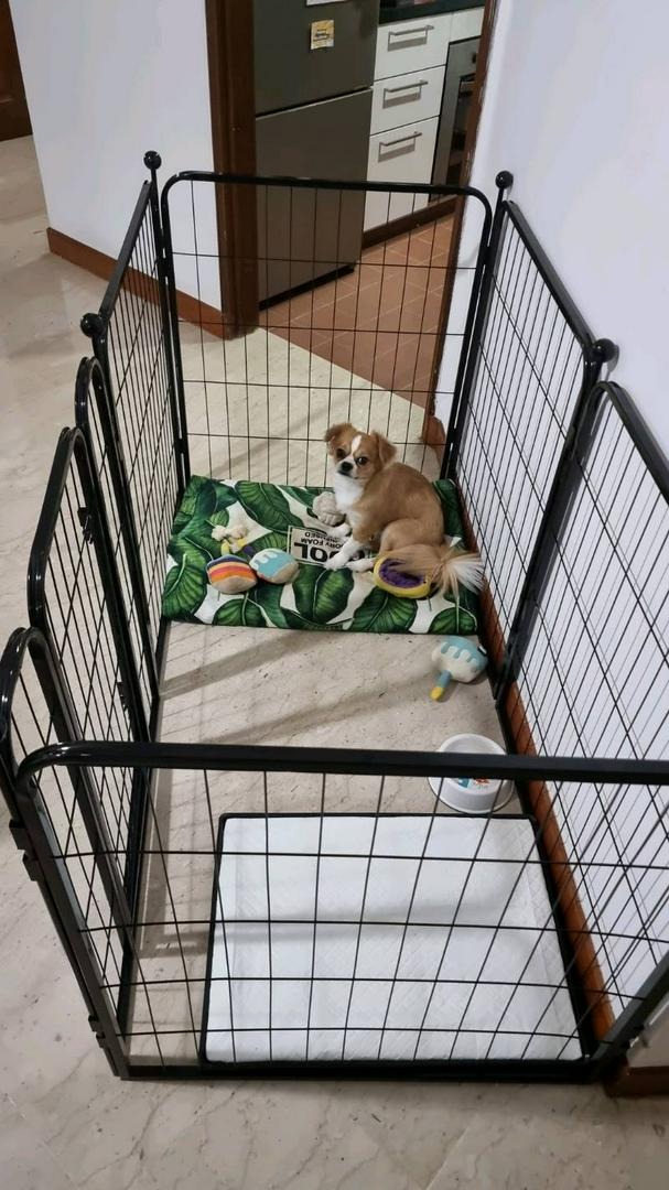 DOG PLAYPEN TALL large dog puppies x 6 Panels, Pet Supplies, Homes