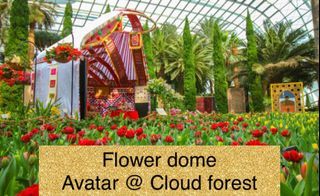 Gardens by the bay (2Domes) with Avatar experience