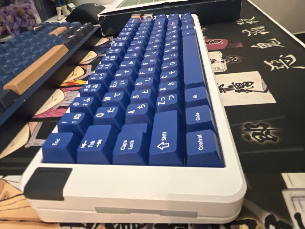 Graystudio Space65 R3 EWhite (2x hotswap pcb, Fr4 plate) + Gmk Striker