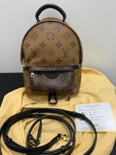 Louis Vuitton Palm Spring Mini Reverse