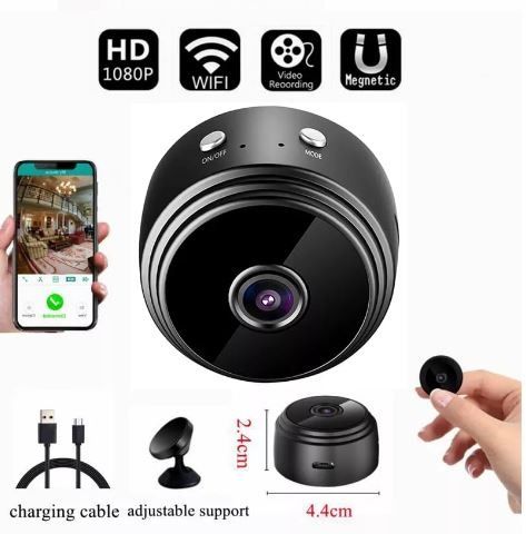 hidden remote cameras