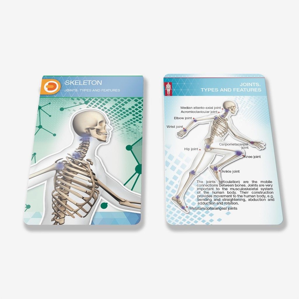 11 SET BOOK + FLASHCARDS Augmented Reality (AR) 4D Encyclopedia ...