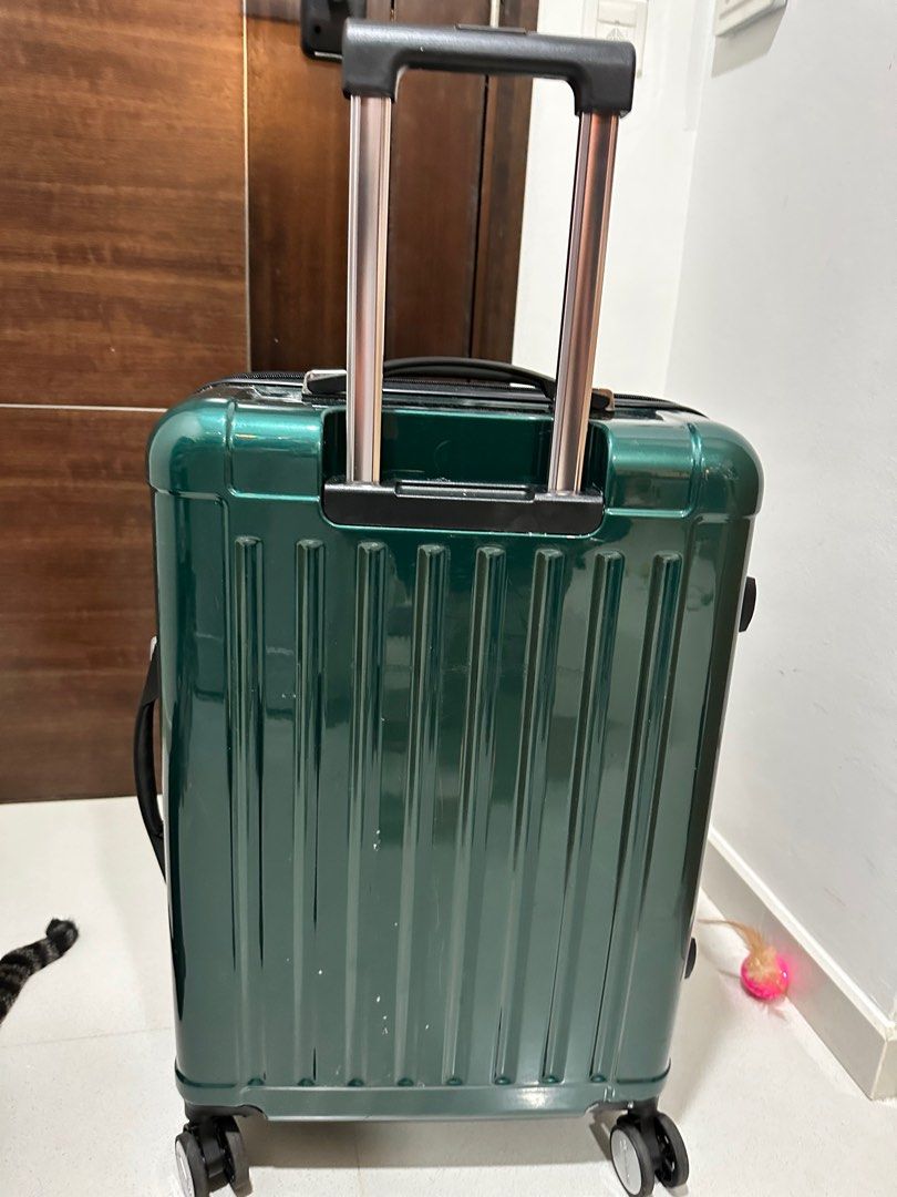 Edelweiss clearance baggage price