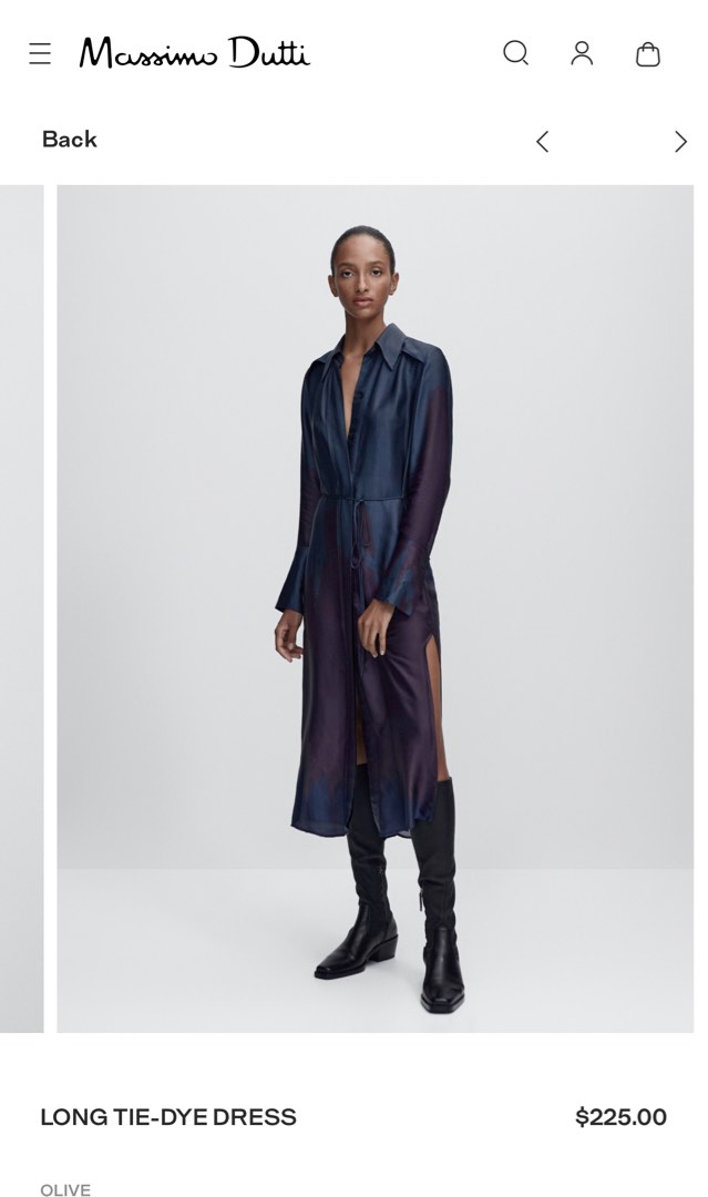 Massimo dutti silk dress shop