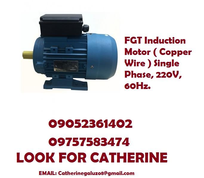 FGT Induction Motor ( Copper Wire ) Single Phase, 220V, 60Hz ...
