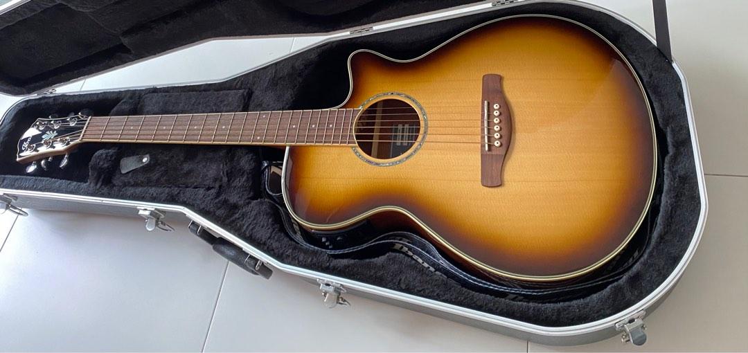 Ibanez aeg 1011 discount