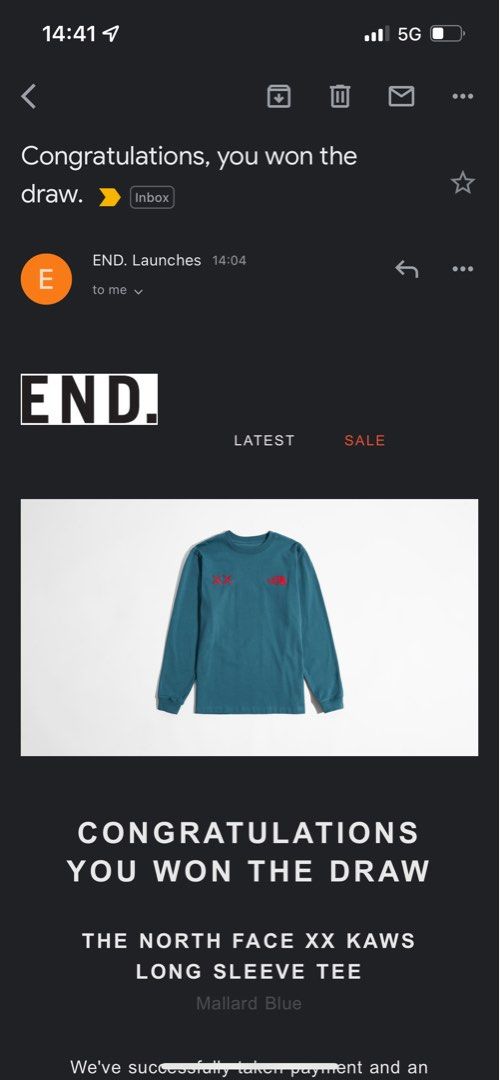 Kaws The North Face TNF END Clothing