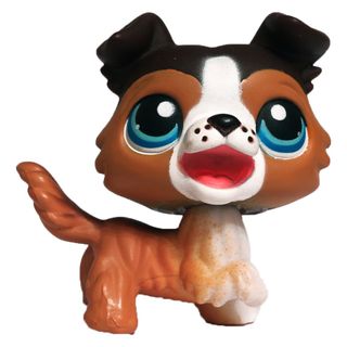 (Category: ) located in . Submitted by amazingpugsforlife (Listing ID 1194546711, Image 1). Description: .