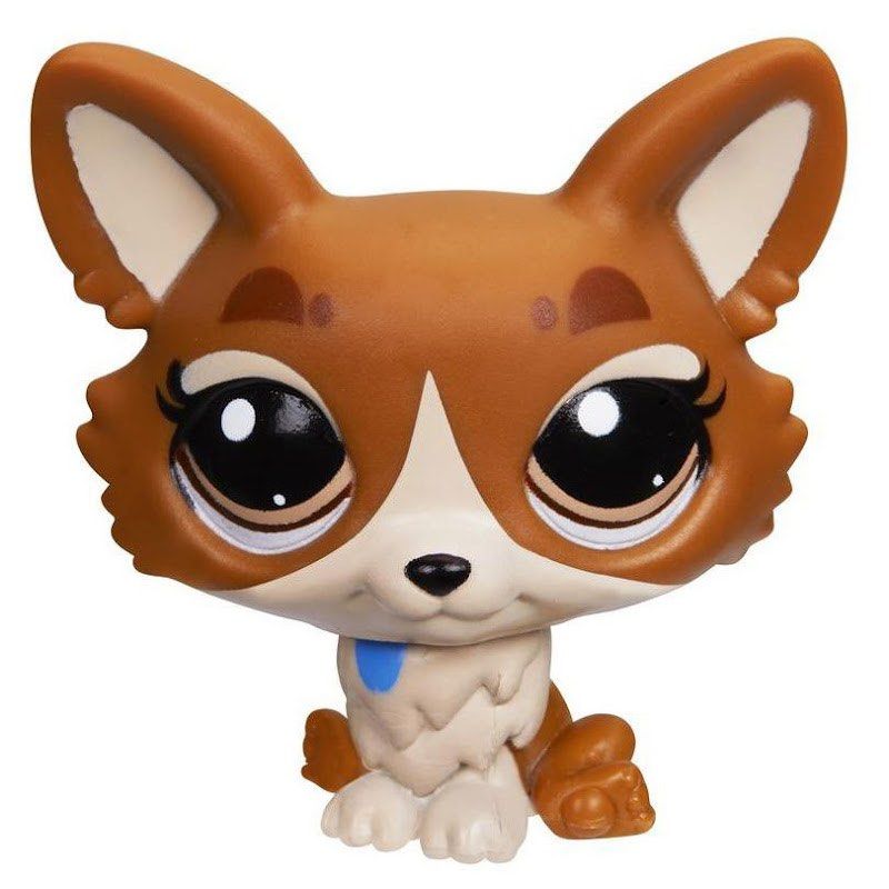 LF WTB Lps littlest pet shop Bulletin Board Looking For on Carousell