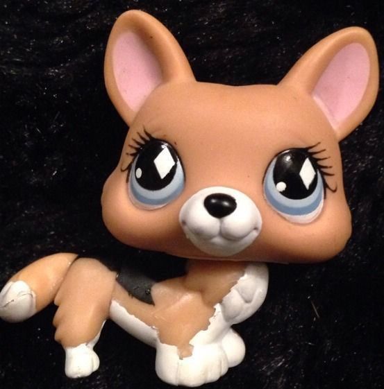 Lps corgi 639 cheap