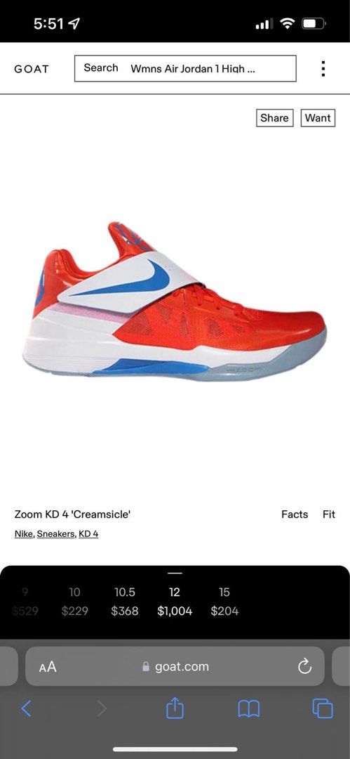space jam nike outfit