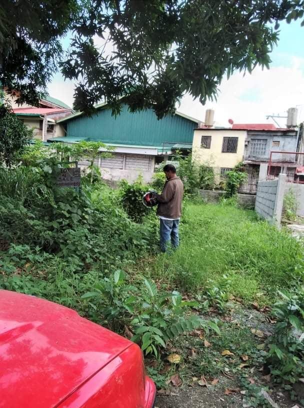 Palmera Homes, Quezon City Lot For Sale, Property, For Sale, Lot on