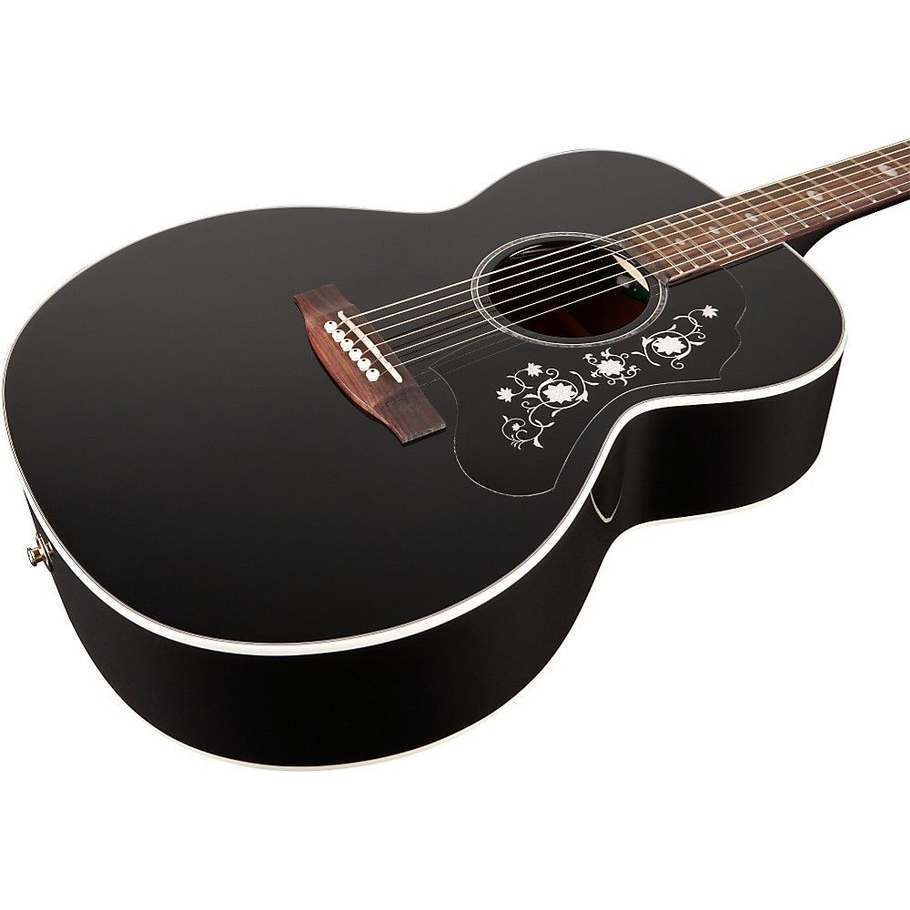Takamine Acoustic Guitar