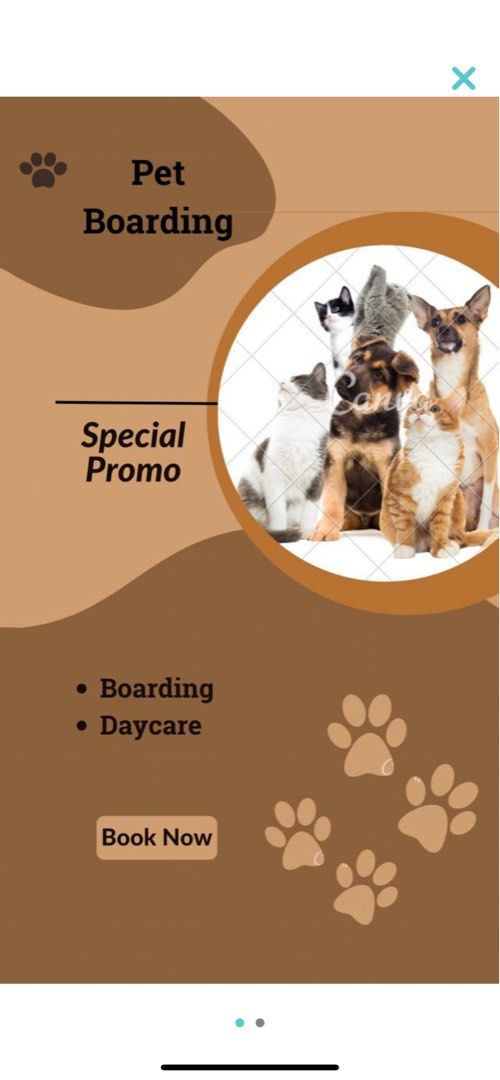 Holiday pet 2025 care service