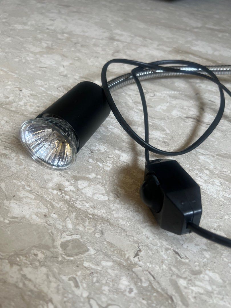 Adjustable Power Basking lights, Pet Supplies, Homes & Other Pet