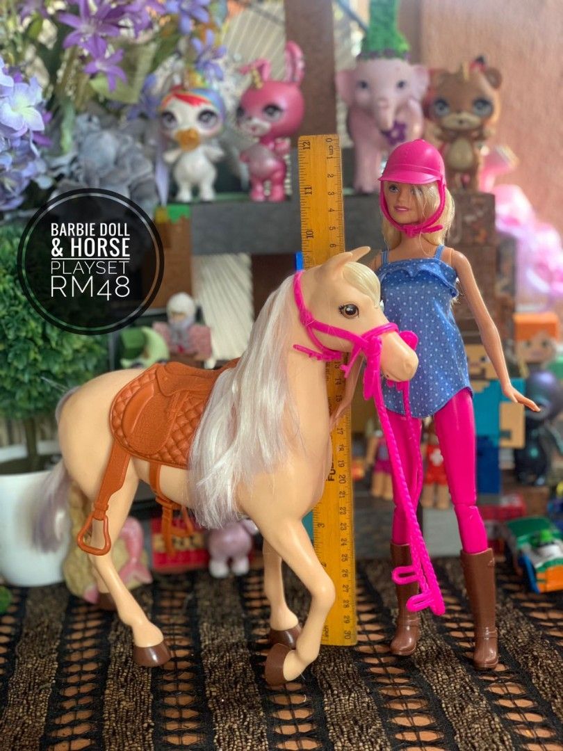 Barbie Doll with Horse Hobbies Toys Toys Games on Carousell