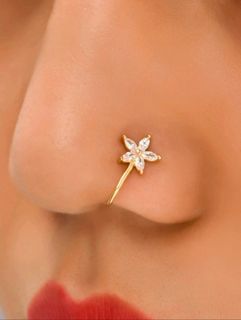 Brand New and Unused Nose Accessory (Clip On)