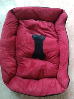 Dog Bed and Elizabeth Collar (Small)