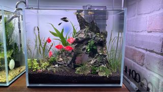 (Category: ) located in . Submitted by ramon_loo (Listing ID 1200149684, Image 1). Description: .