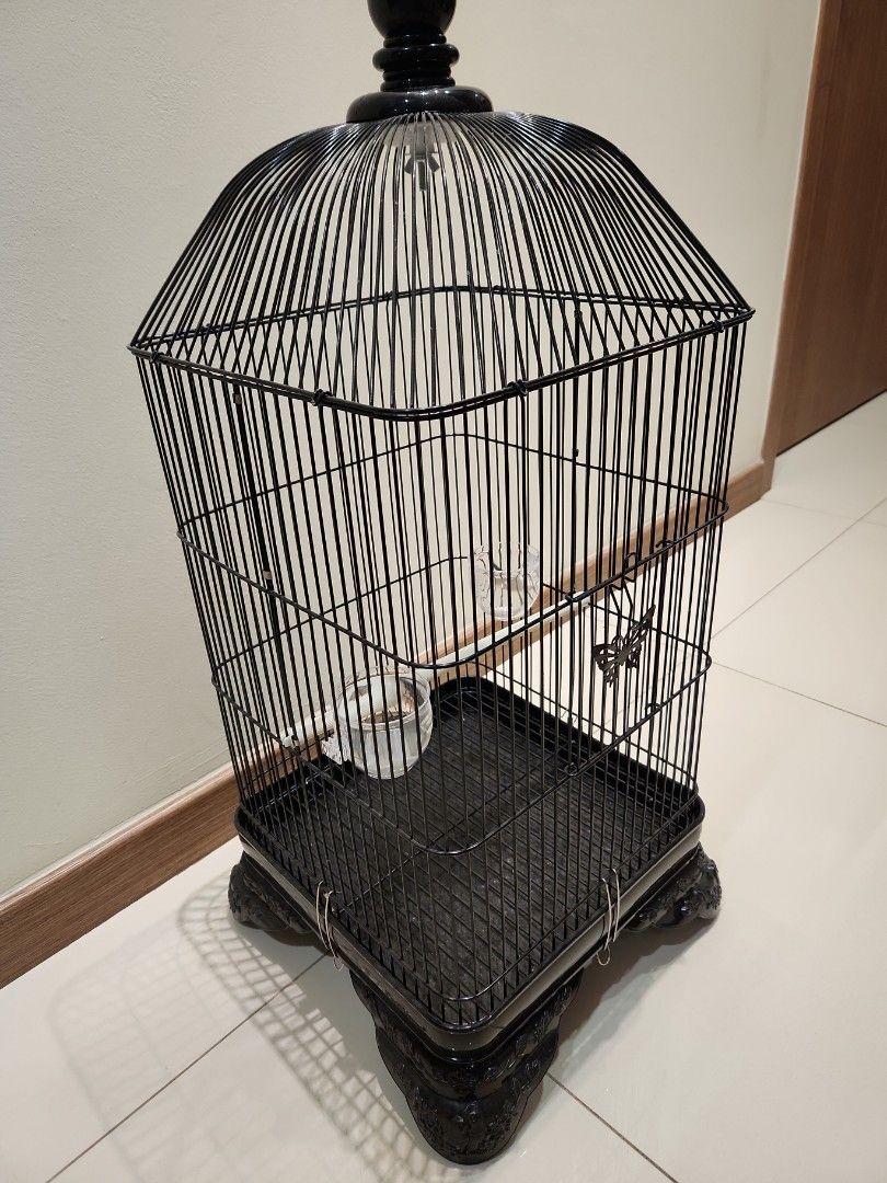 classic round bird cage