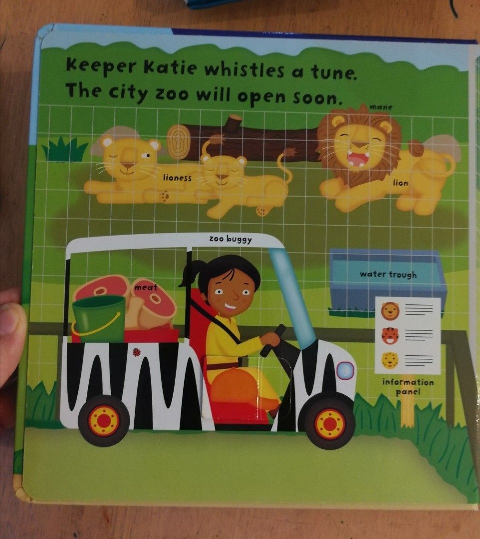 Ladybird LiftTheFlap Book Busy Zoo, Hobbies & Toys, Books