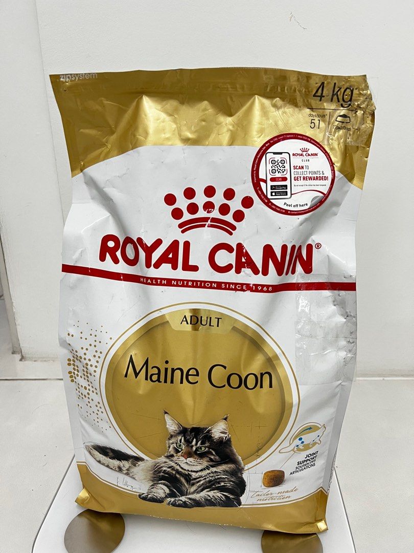 Royal canin maine deals coon 4kg