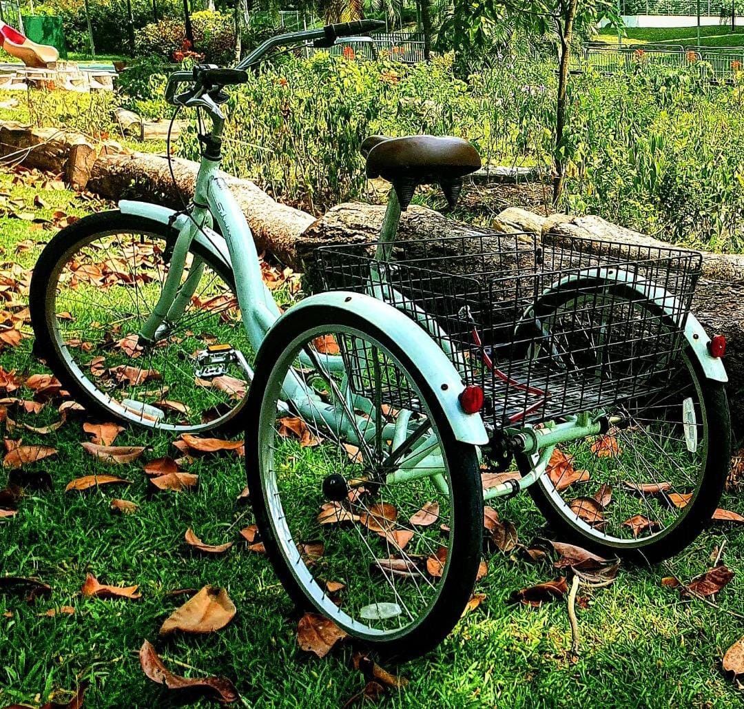 Schwinn deals meridian mint