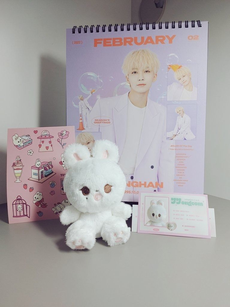 Seventeen SVT Jeonghan Jjongcom-e 10cm Seated White Bunny Rabbit Doll ...