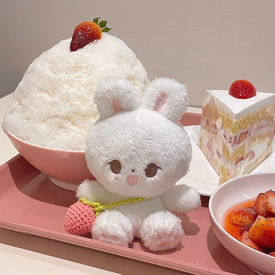 Seventeen SVT Jeonghan Jjongcom-e 10cm Seated White Bunny Rabbit Doll ...