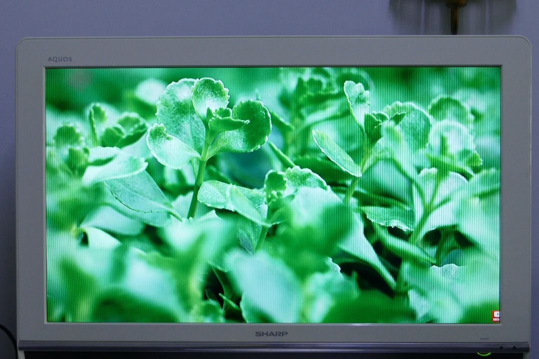 Sharp LCD TV, TV & Home Appliances, TV & Entertainment, TV on Carousell