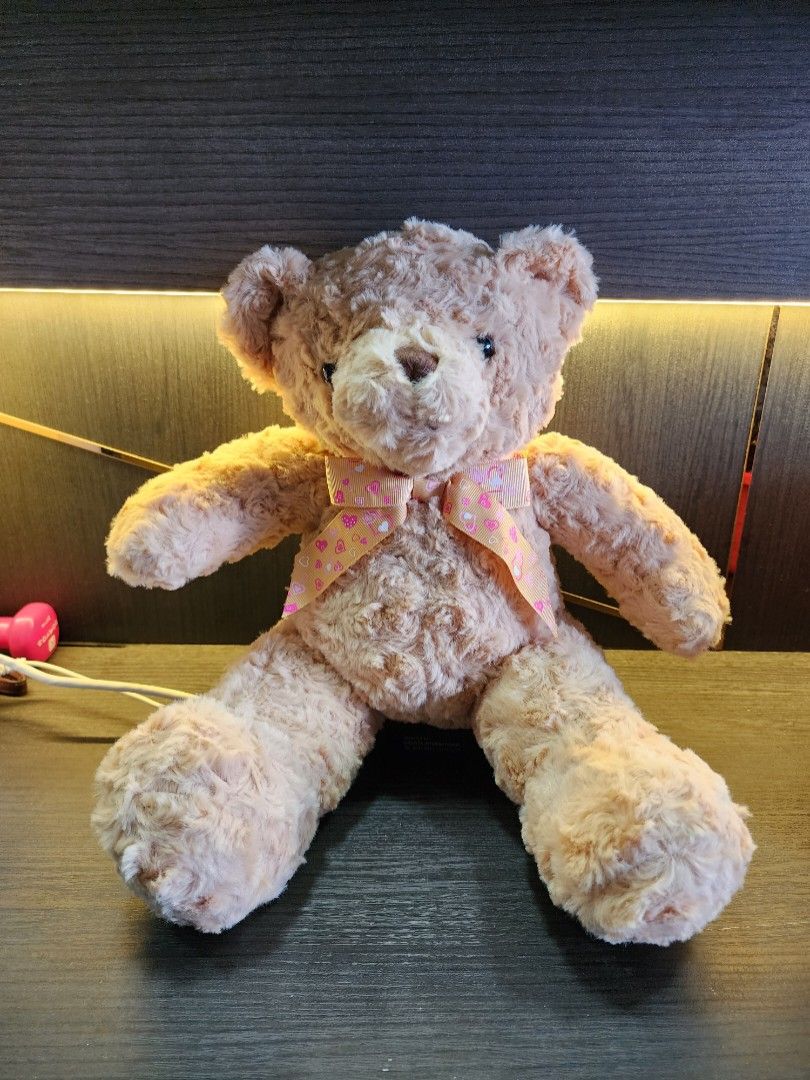 Teddy Bear Soft Toy Plushie, Hobbies & Toys, Toys & Games on Carousell