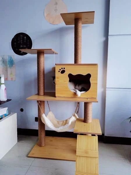 Wooden cat carrier top