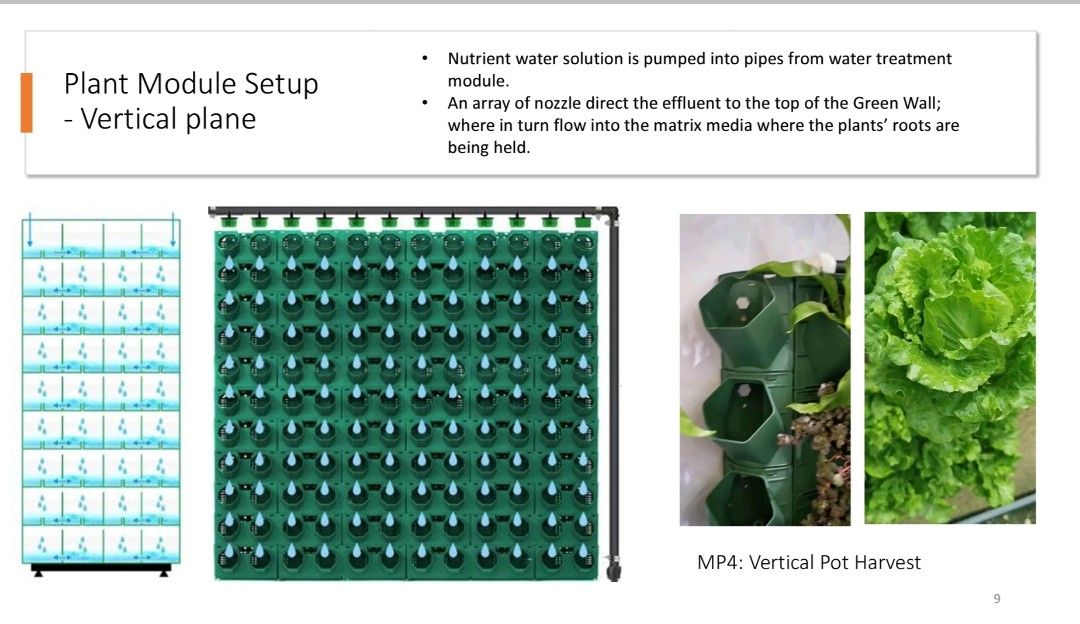 Indoor Aquaponics Fish Tank 2,600 Gallon for 600 Tilapia, Pet Supplies