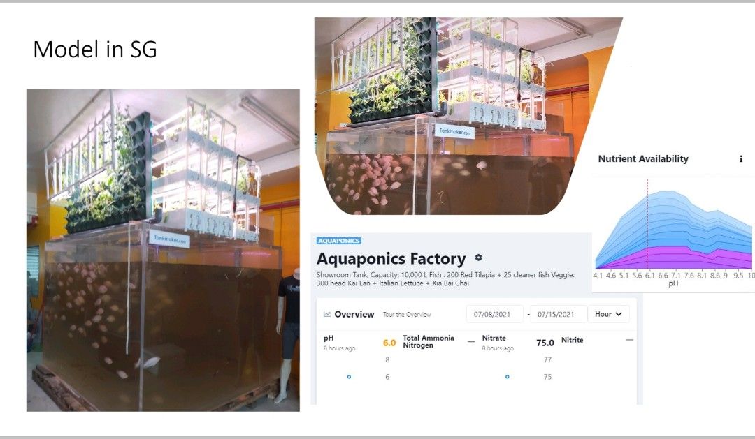 Indoor Aquaponics Fish Tank 2,600 Gallon for 600 Tilapia, Pet Supplies