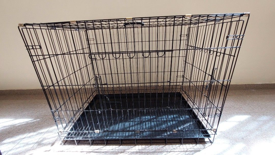 Proselect outlet dog crate