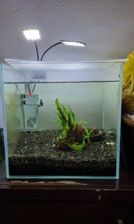 (Category: ) located in . Submitted by golavisg (Listing ID 1194658744, Image 1). Description: .