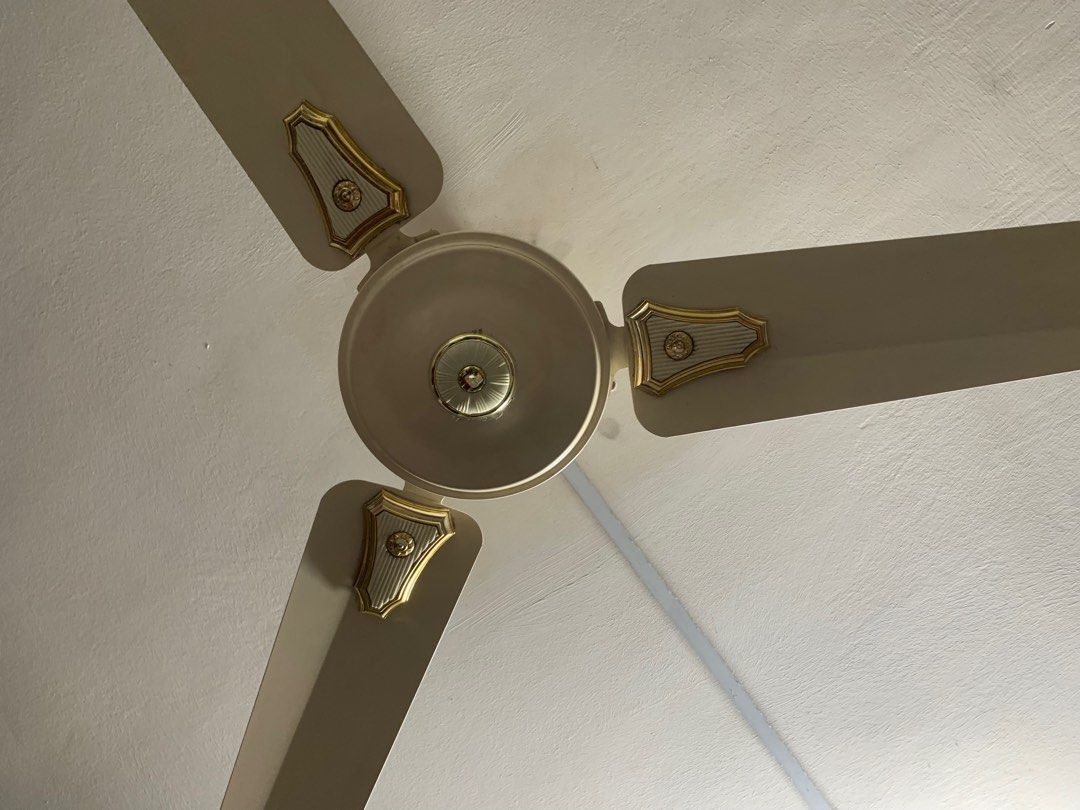 Indian Ceiling Fan Crompton Greaves, Furniture & Home Living