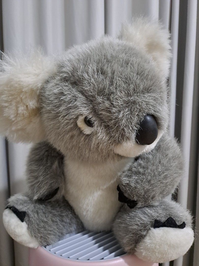 koala cuddly toy