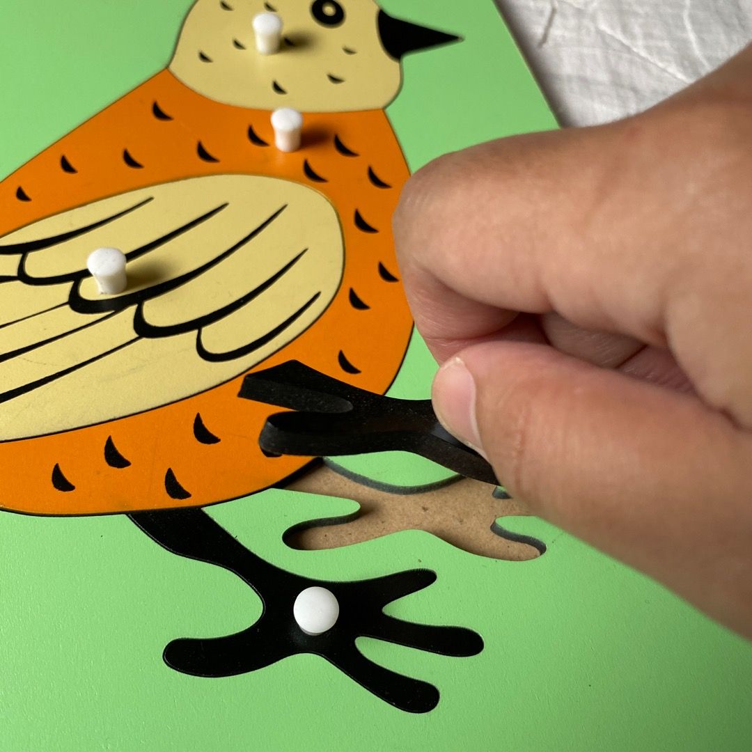 Montessori Wooden Bird Puzzle, Hobbies & Toys, Toys & Games on Carousell