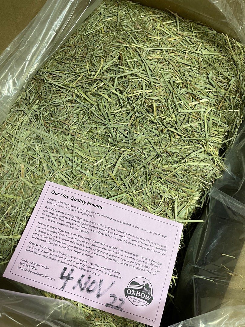  Oxbow Animal Health Orchard Grass Hay - All Natural Grass Hay  for Chinchillas, Rabbits, Guinea Pigs, Hamsters, Gerbils & Other Small Pets  - Grown in the USA- Fiber Rich- 40