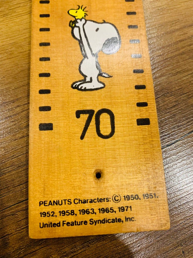 Peanuts Snoopy Wooden Growth Chart, Everything Else, Others on Carousell