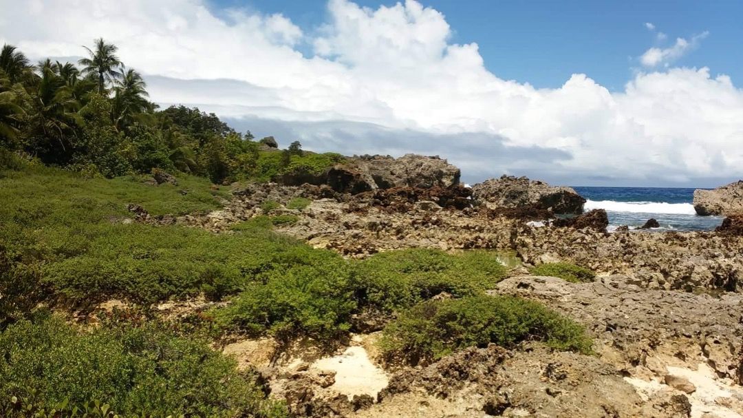 Siargao Lot for sale, Property, For Sale, Lot on Carousell