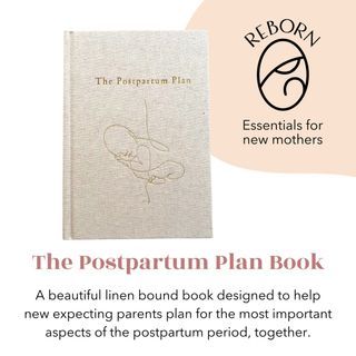 The Postpartum Plan Book