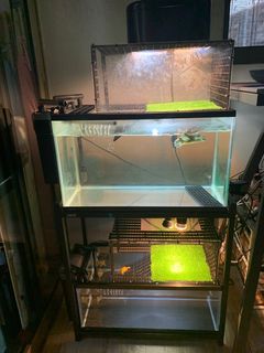 (Category: ) located in . Submitted by aeone.trading (Listing ID 1194684651, Image 1). Description: .