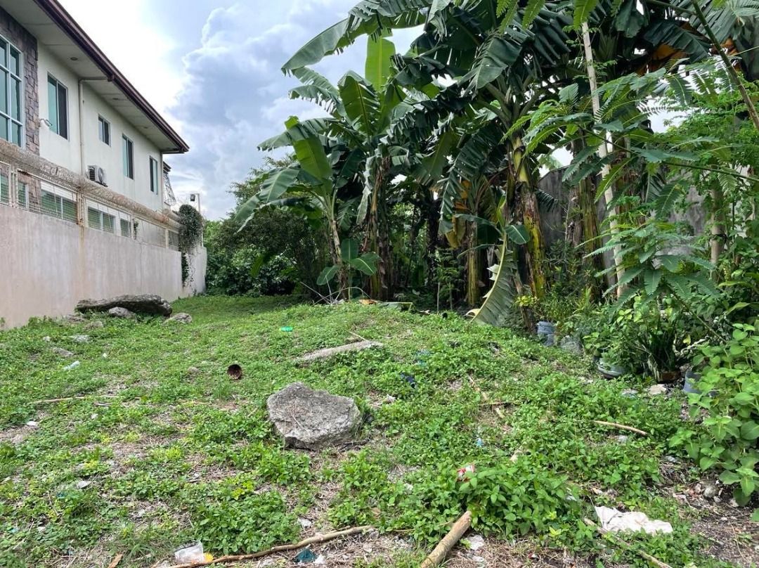 Villa Olympia Subd. San Pedro Laguna, Property, For Sale, Lot on Carousell