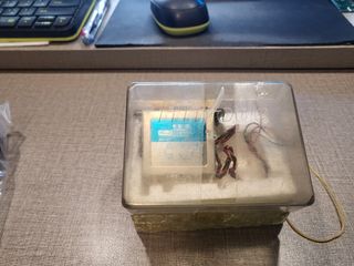 （分類：）位於 。 由 chiu6012 提交（商品編號 1194572373，圖片 1）。簡介： 。