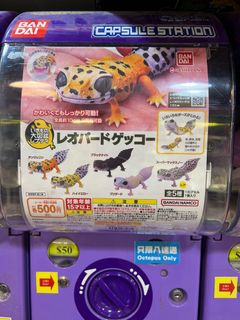 （分類：）位於 。 由 jokerc 提交（商品編號 1194928355，圖片 1）。簡介： 。